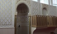 IMG_3146