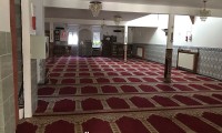 IMG_8010