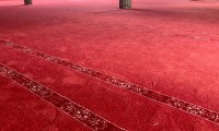 IMG_1522