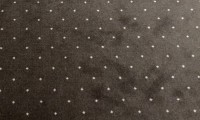 zoom-moquette