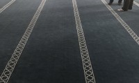 IMG_2137
