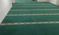 IMG_0333