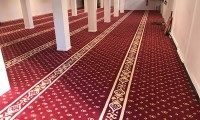 IMG_2816