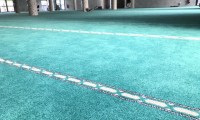 IMG_3817
