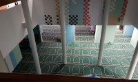 IMG_4203