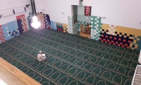 IMG_4206