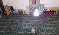 IMG_4208