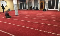 IMG_4561