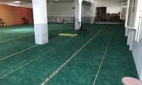IMG_4491