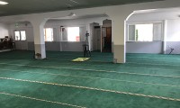 IMG_4495