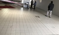 IMG_3552