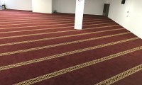 IMG_5781