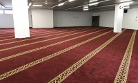 IMG_5786