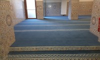 IMG_5973