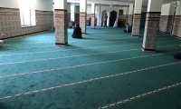 IMG_6788