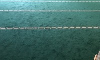 IMG_6792